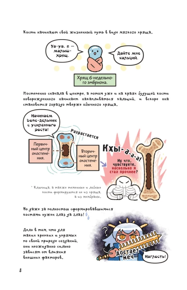 Noch anschaulichere Anatomie